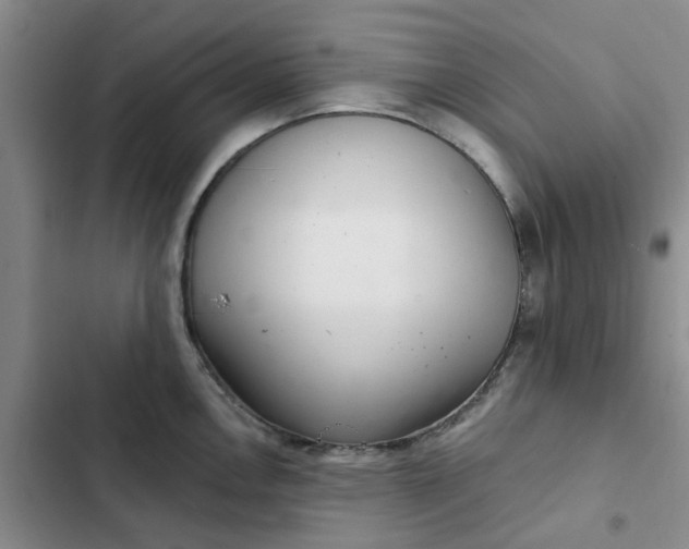 X0000102501146200808221748