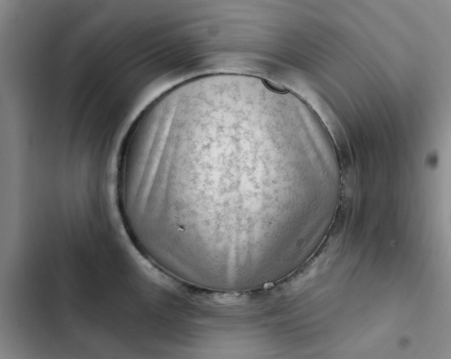 X0000102501147200808221748