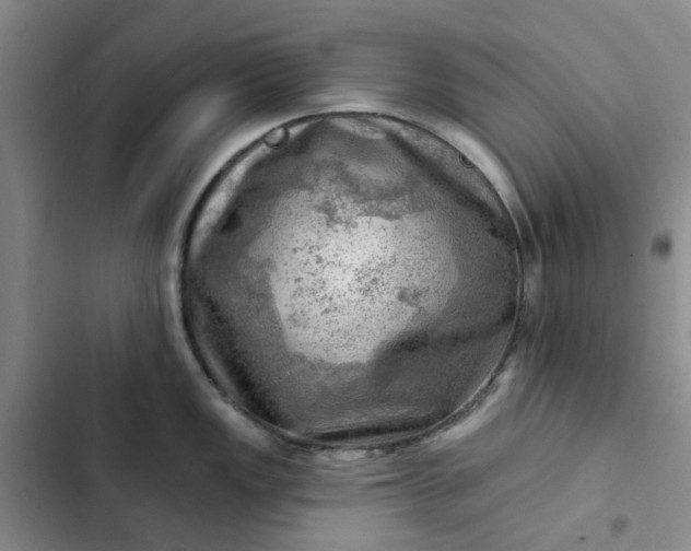 X0000102501149200808221748