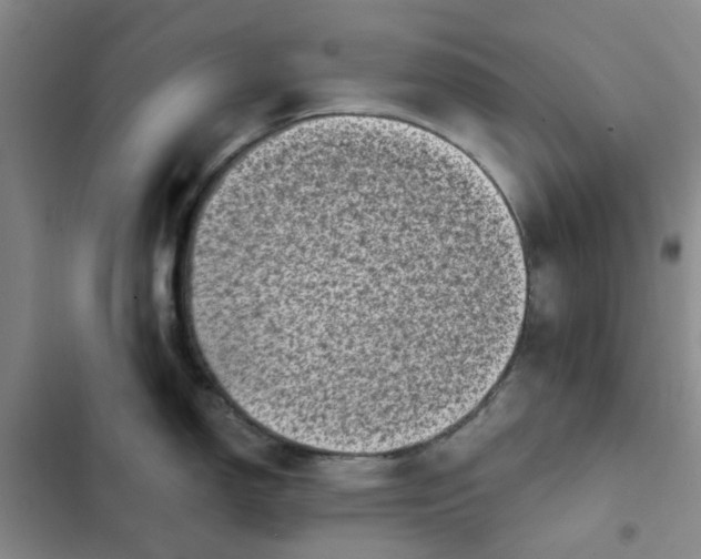 X0000102501150200808221748