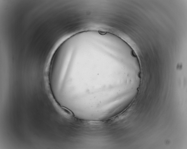 X0000102501152200808221748