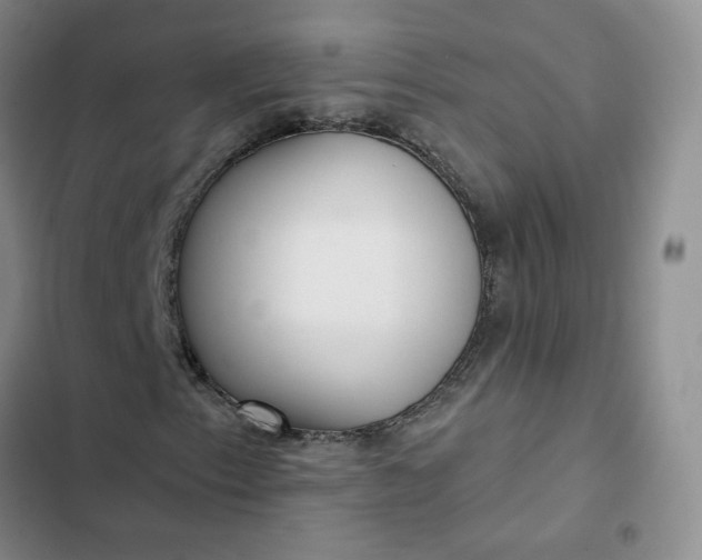 X0000102501153200808221747