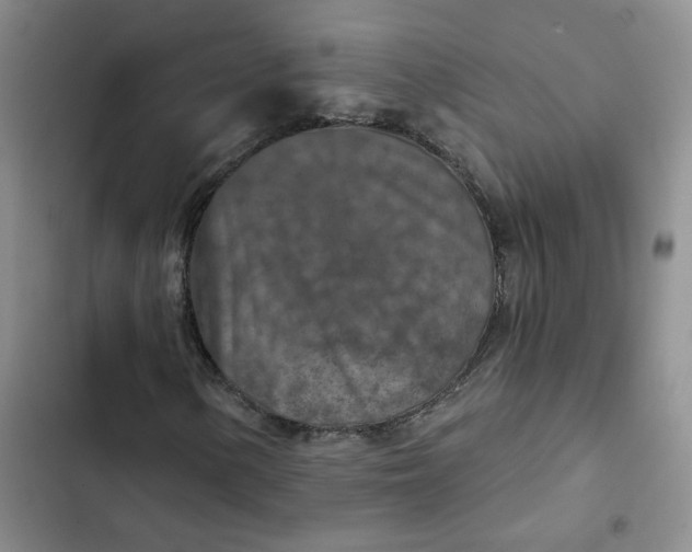 X0000102501154200808221747