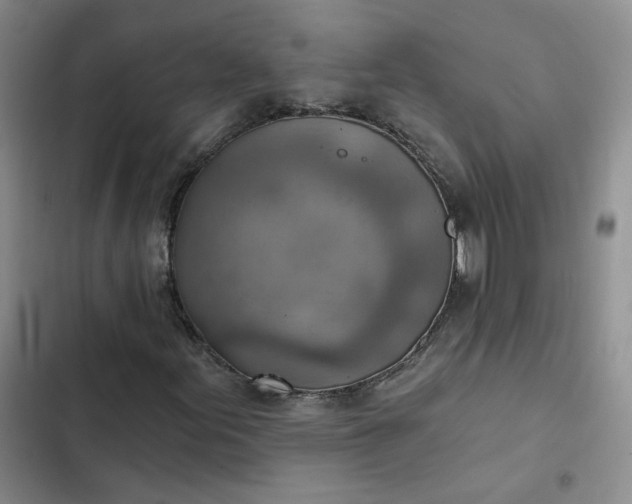 X0000102501155200808221747