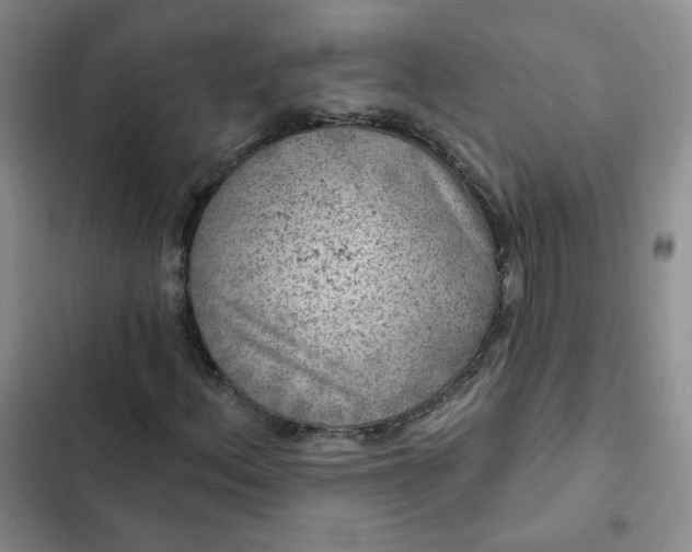 X0000102501156200808221747