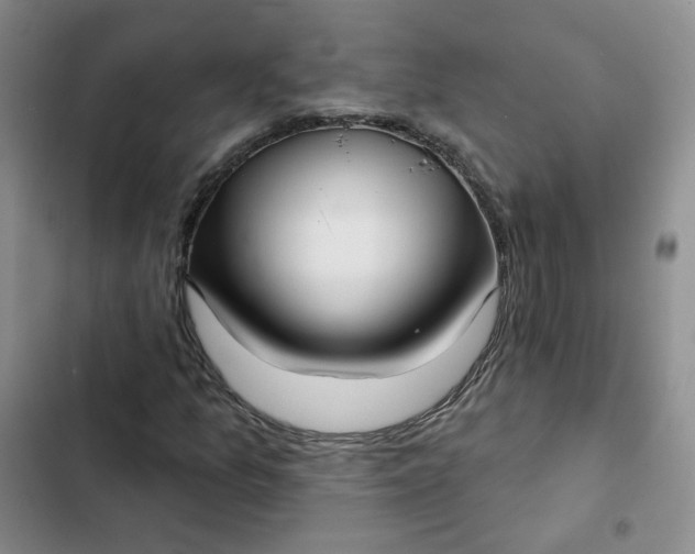 X0000102501157200808221747