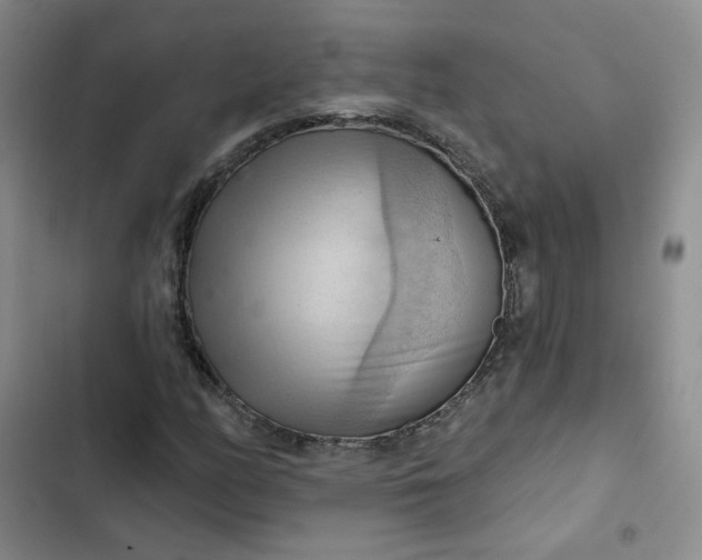 X0000102501158200808221747