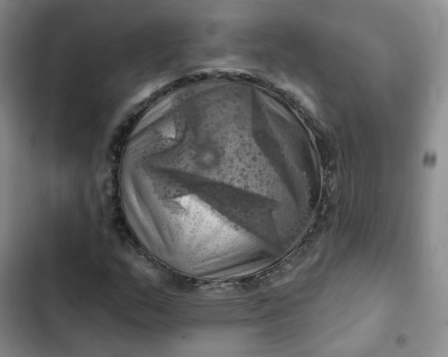 X0000102501159200808221747