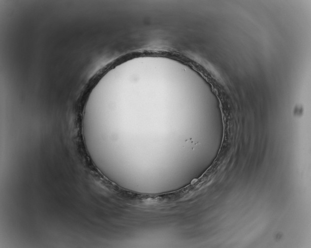 X0000102501160200808221747