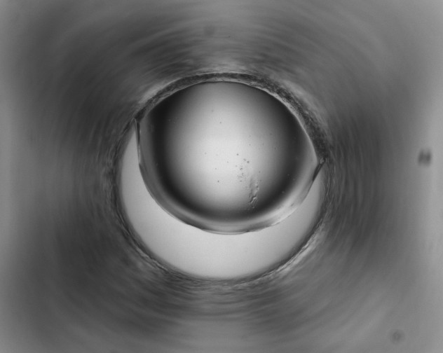 X0000102501161200808221747