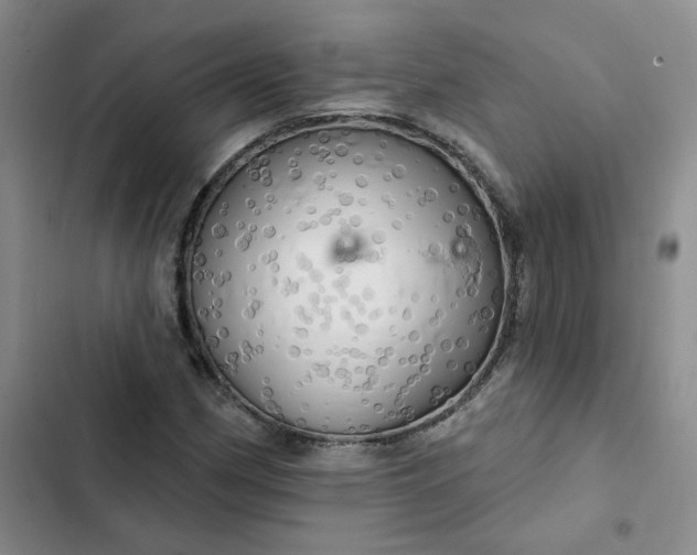 X0000102501162200808221747