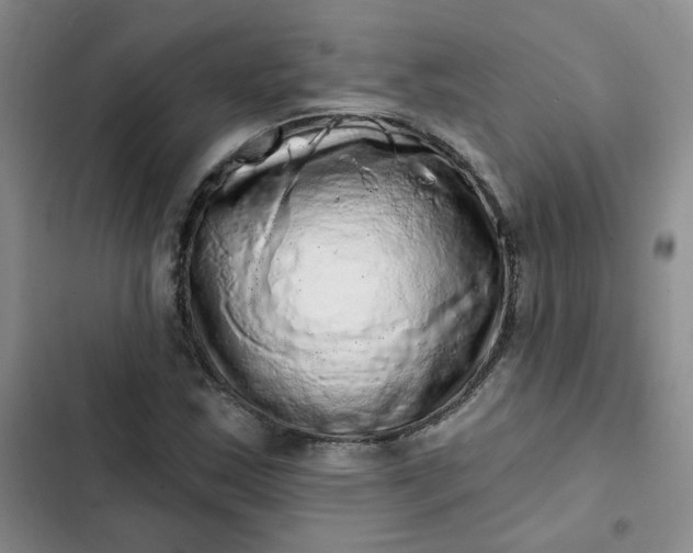 X0000102501163200808221747