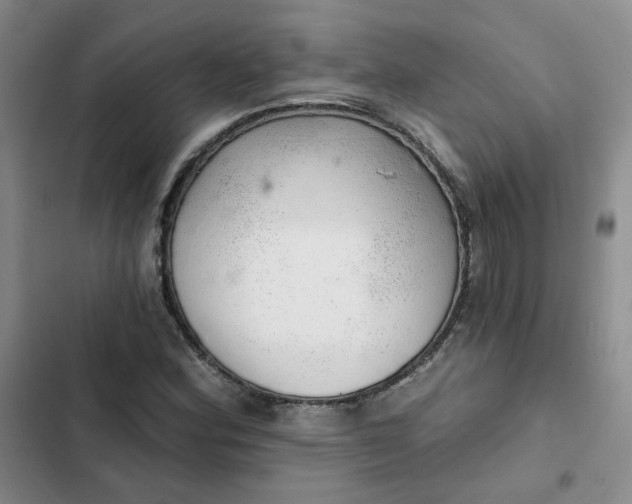 X0000102501164200808221747