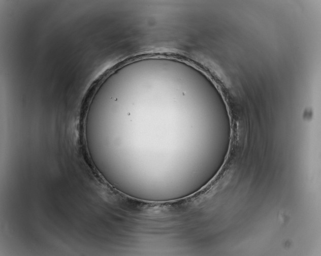 X0000102501165200808221747