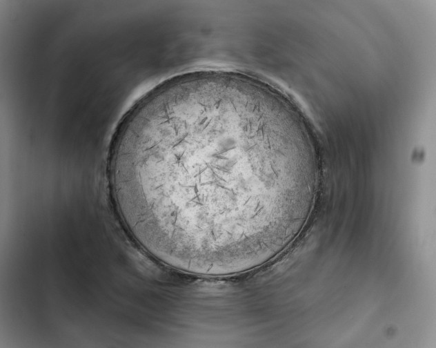 X0000102501168200808221747