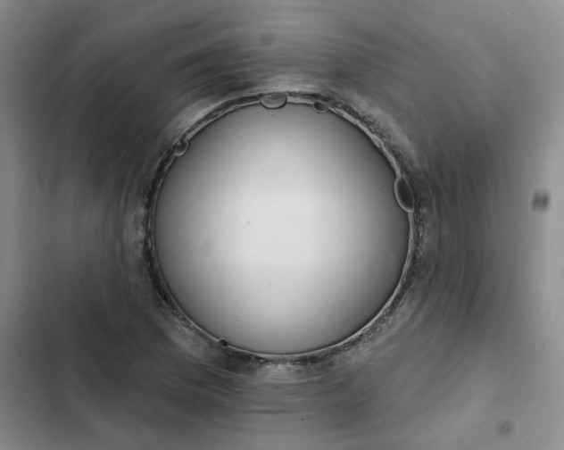 X0000102501169200808221747