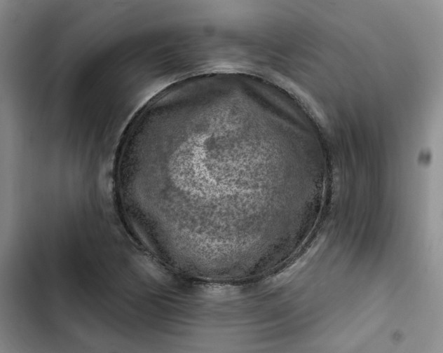 X0000102501170200808221747