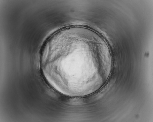 X0000102501171200808221747