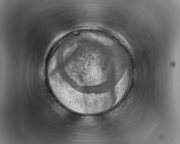 X0000102501172200808221747