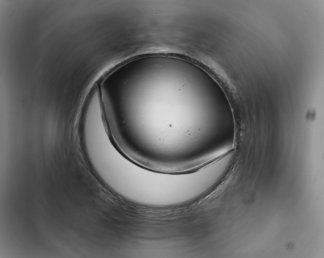 X0000102501173200808221747