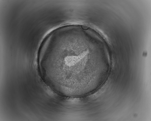 X0000102501174200808221747