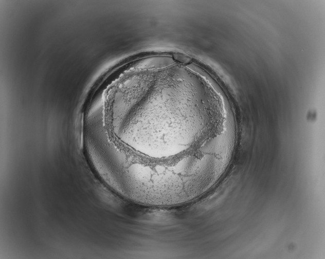 X0000102501175200808221747