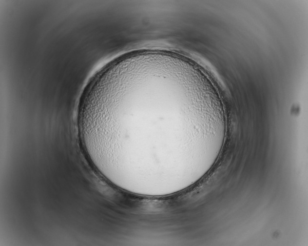 X0000102501176200808221747