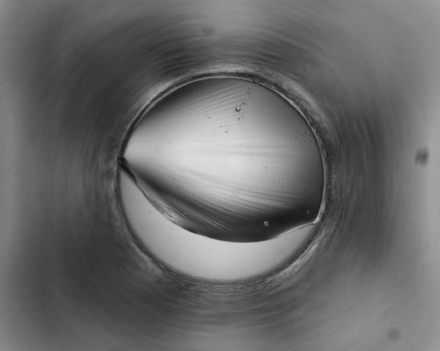 X0000102501177200808221747