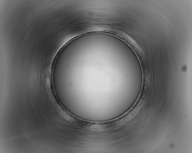 X0000102501178200808221747