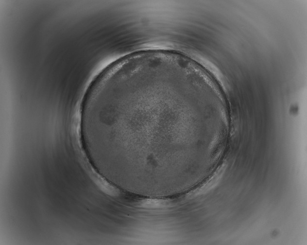 X0000102501179200808221747