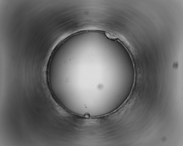 X0000102501181200808221747