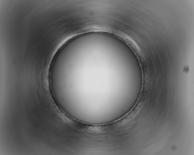 X0000102501182200808221747