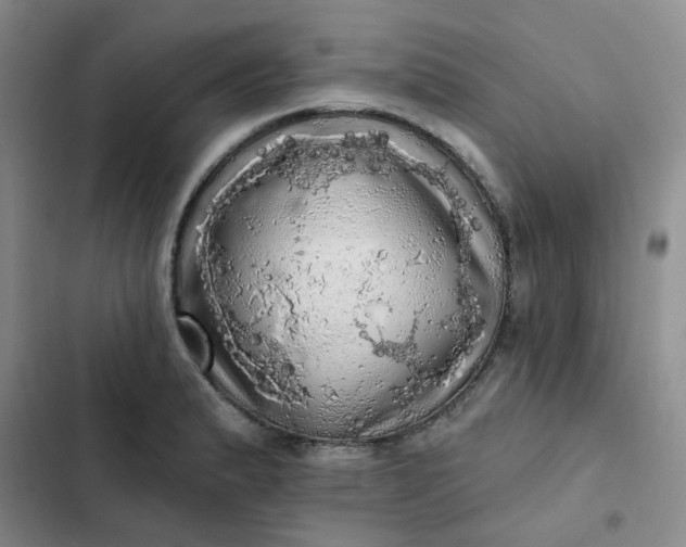 X0000102501183200808221747