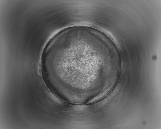 X0000102501184200808221747