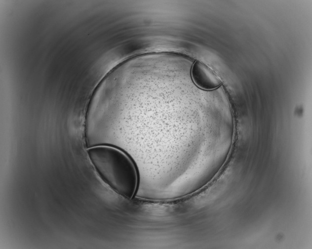 X0000102501185200808221747