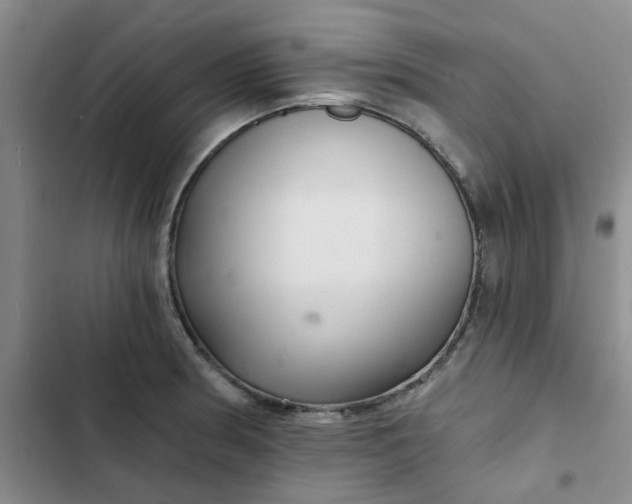 X0000102501186200808221747