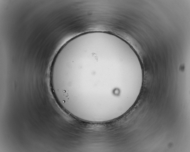 X0000102501187200808221747