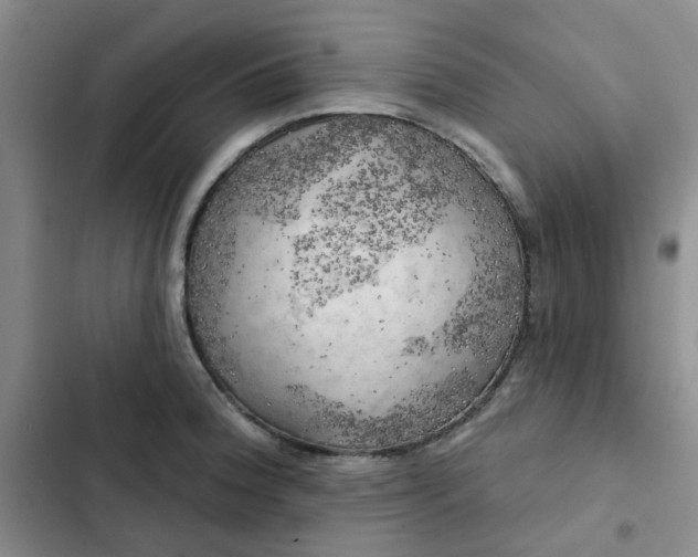 X0000102501188200808221747