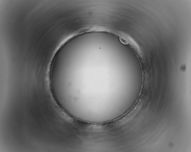 X0000102501190200808221747