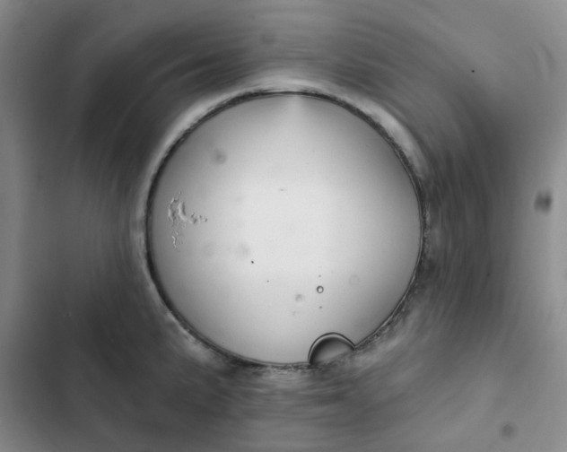 X0000102501191200808221747