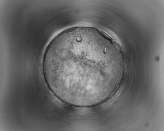 X0000102501192200808221747