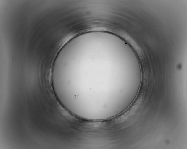 X0000102501193200808221747