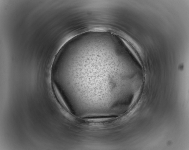 X0000102501194200808221747