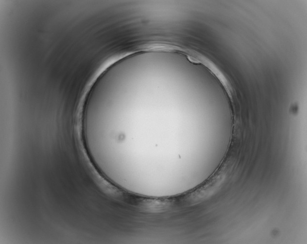 X0000102501195200808221747