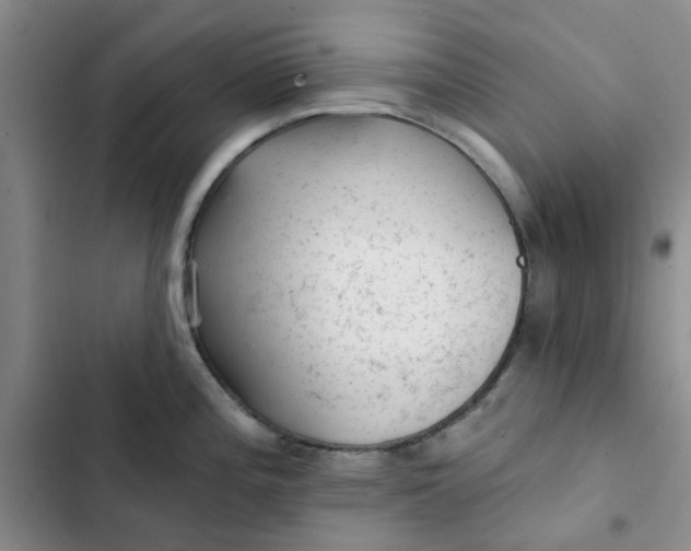 X0000102501196200808221747