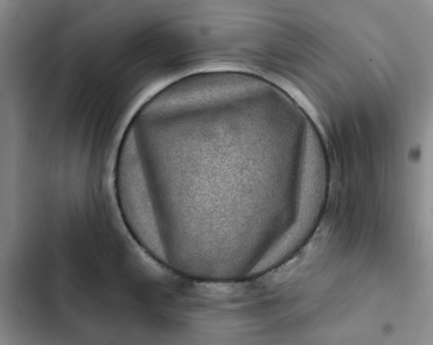 X0000102501197200808221746