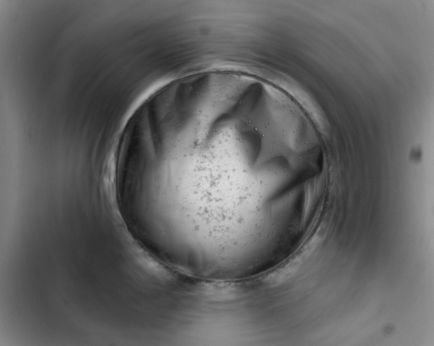 X0000102501198200808221746