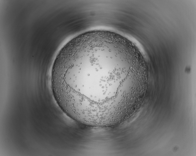 X0000102501199200808221746