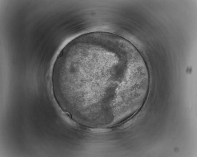 X0000102501200200808221746