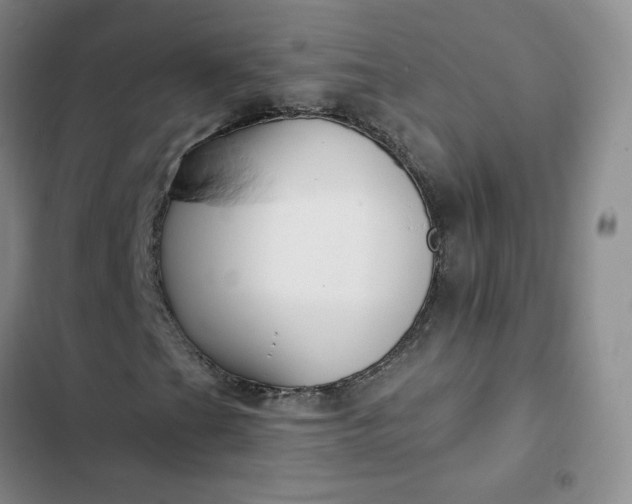 X0000102501201200808221746